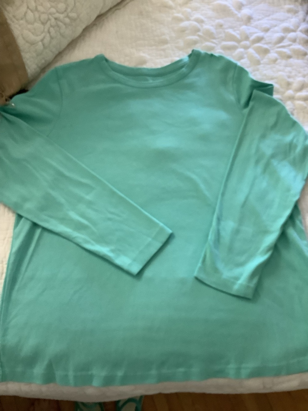 Lands' End Mint Crew Neck Long Sleeve Top